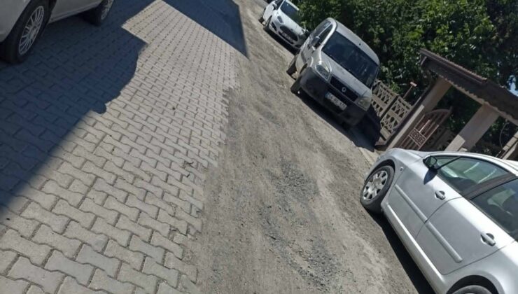 Manolya sokak sakinleri yollarına ilgi bekliyor!