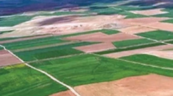 TOKİ’den Arifiye’de arsa satışı!