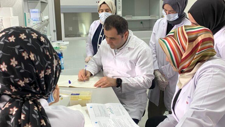 2 bin 190 öğrenci iş deneyimi kazandı