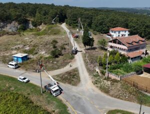 SEDAŞ’tan Göçmen Kuşların Güvenliği İçin Koruyucu Saha Çalışmaları
