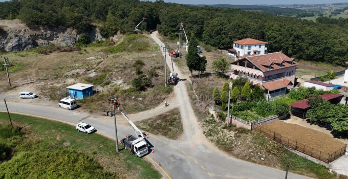 SEDAŞ’tan Göçmen Kuşların Güvenliği İçin Koruyucu Saha Çalışmaları