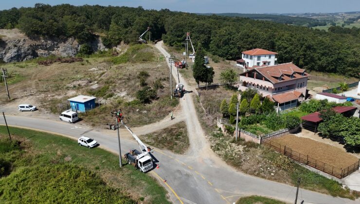 SEDAŞ’tan Göçmen Kuşların Güvenliği İçin Koruyucu Saha Çalışmaları