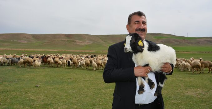 TÜRKYED Genel Başkanı Nihat Çelik ”Mera üreticinin en önemli gücüdür…”