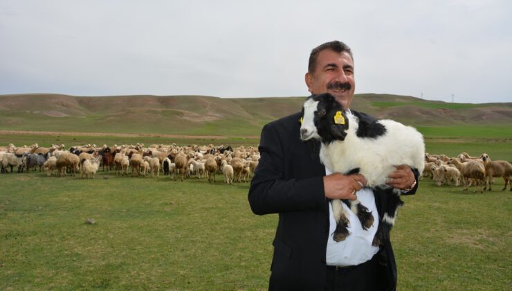 TÜRKYED Genel Başkanı Nihat Çelik ”Mera üreticinin en önemli gücüdür…”