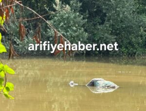 Sakarya Nehri’nin Gölya geçişinde suyun içinde ceset görüldü!