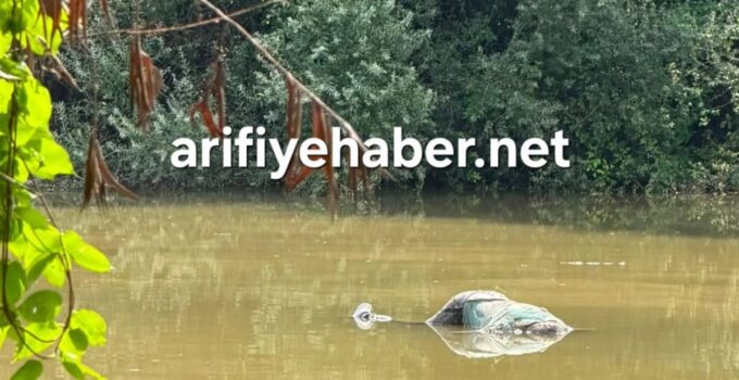 Sakarya Nehri’nin Gölya geçişinde suyun içinde ceset görüldü!
