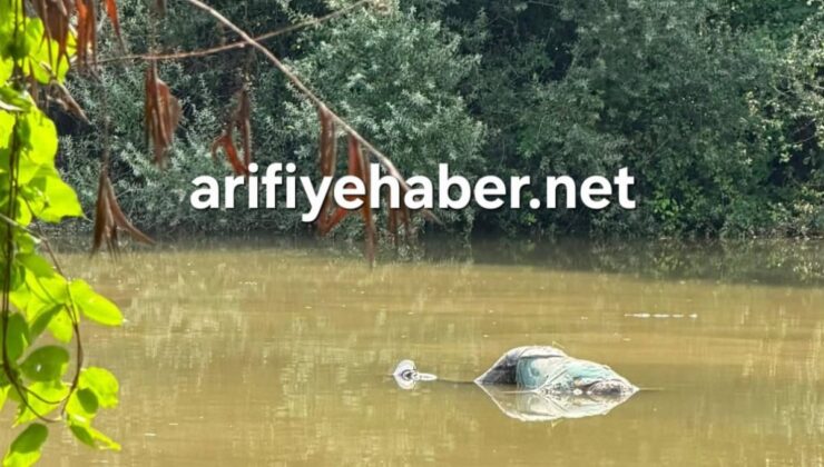 Sakarya Nehri’nin Gölya geçişinde suyun içinde ceset görüldü!