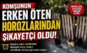 Komşunun Erken Öten Horozlarından şikayetçi oldu!