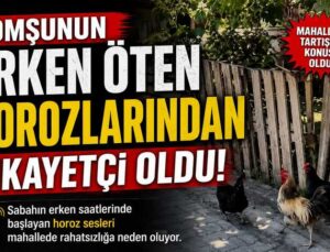 Komşunun Erken Öten Horozlarından şikayetçi oldu!