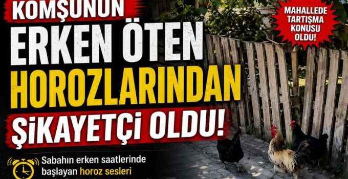 Komşunun Erken Öten Horozlarından şikayetçi oldu!