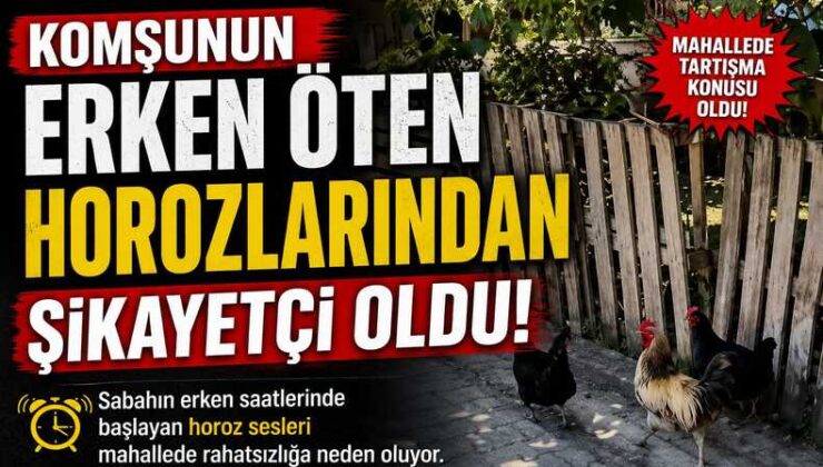 Komşunun Erken Öten Horozlarından şikayetçi oldu!