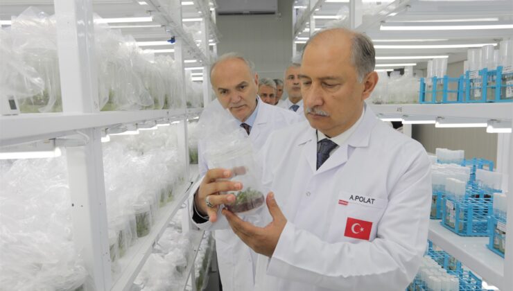 Bakan Yardımcısı Polat’tan Doku Kültürü Laboratuvarı’na Tam Not