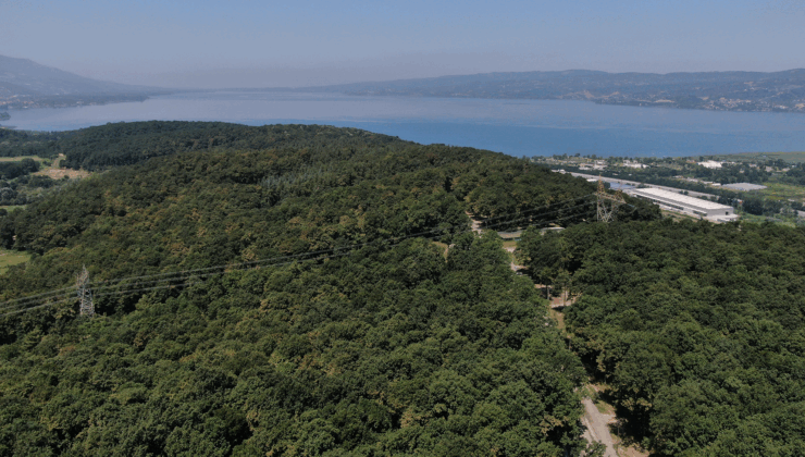 Sakarya’nın doğasına yaz boyunca 550 bin ziyaretçi uğradı