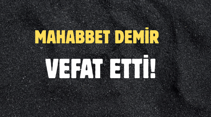 DEMİR AİLESİNİN ACI GÜNÜ!..