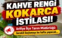 Kışlaçay’da Kahverengi Kokarca Zararlısına Karşı İlaçlama
