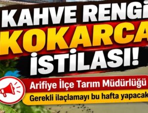 Kışlaçay’da Kahverengi Kokarca Zararlısına Karşı İlaçlama