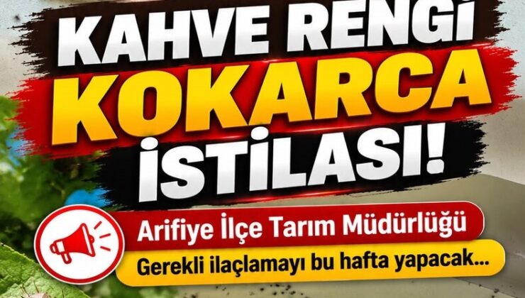 Kışlaçay’da Kahverengi Kokarca Zararlısına Karşı İlaçlama